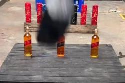 赤峰砸酒瓶解压馆电话是多少号