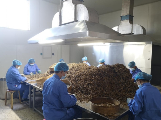 赤峰单龙药厂电话多少啊-第1张图片