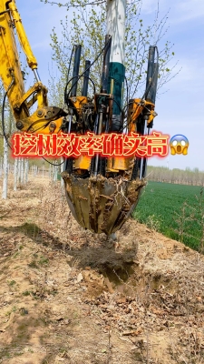 赤峰市挖树机租赁电话号码-第1张图片