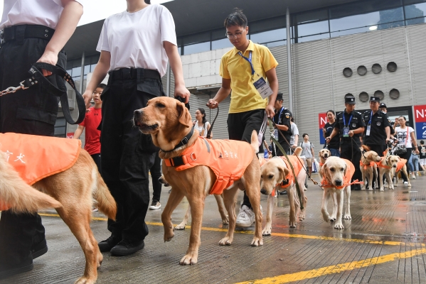 赤峰市导盲犬训练基地电话号码-第1张图片