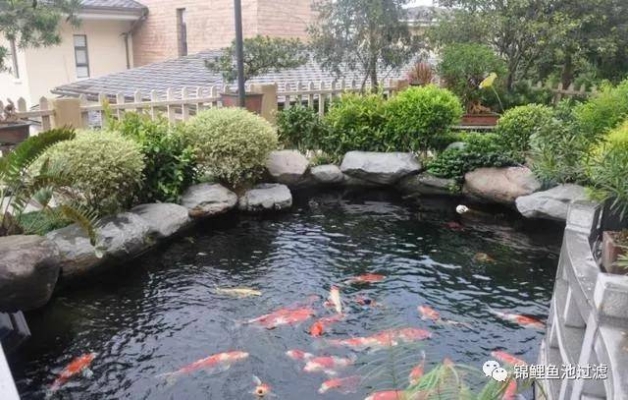 赤峰养鱼池出租电话多少号-第1张图片