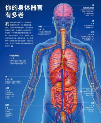 赤峰胎盘储存厂家电话号码查询-第1张图片
