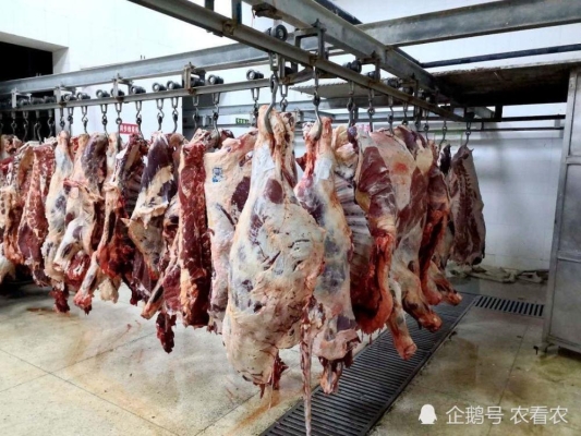 赤峰肉鸡屠宰场电话号码查询-第1张图片