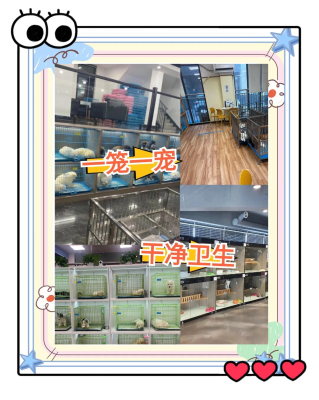 赤峰宠物店联系方式-第1张图片