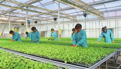 赤峰新士力游泳馆电话号码-第1张图片