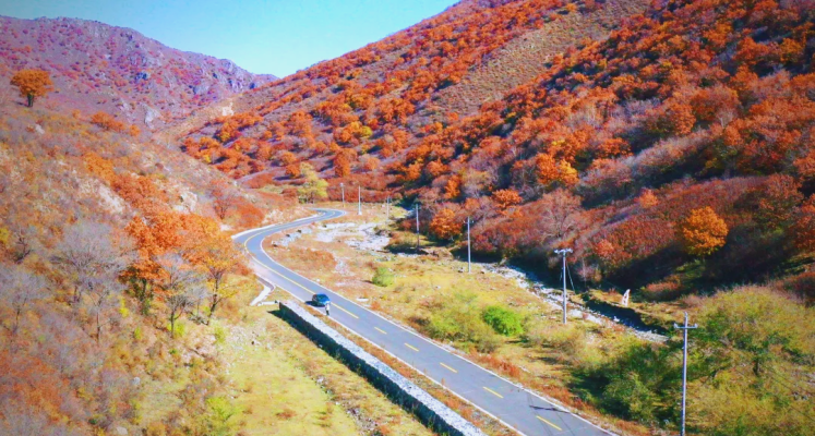 赤峰林西川菜馆地址电话号码-第1张图片