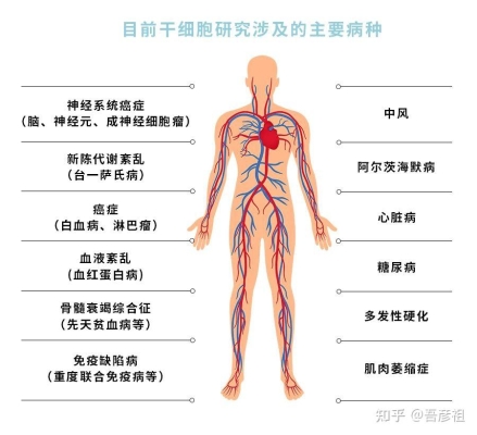 赤峰胎盘储存厂家电话多少号-第1张图片