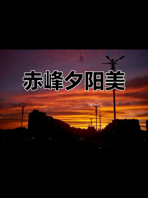 赤峰珑鑫商贸有限公司电话号码-第1张图片