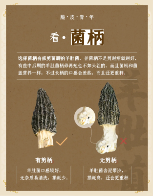 赤峰收购羊肚菌电话号码多少-第1张图片
