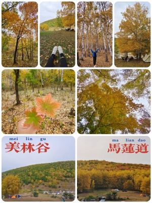 赤峰市美林镇古山村电话号码-第1张图片