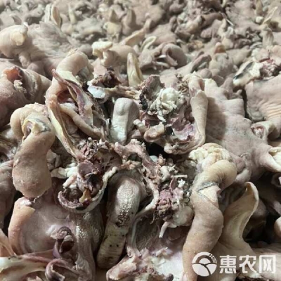 赤峰市园林路羊头馆电话号码-第1张图片