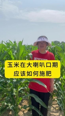 赤峰市玉米追肥厂家电话号码-第1张图片