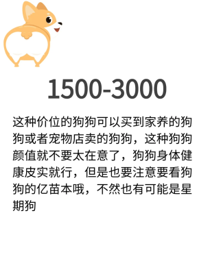 赤峰卖柯基犬的地方电话号码-第1张图片