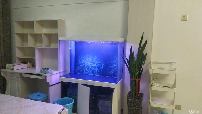 赤峰最大的宠物店电话号码是多少-第1张图片