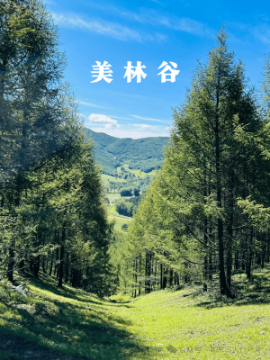 赤峰美林谷滑雪团电话号码多少-第1张图片