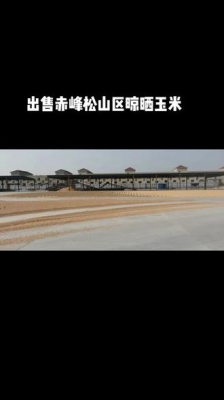 赤峰苞米种植基地电话多少号-第1张图片