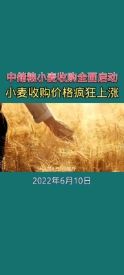赤峰小麦收购贸易商电话是多少-第1张图片