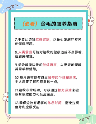 赤峰附近边牧狗舍电话地址是多少-第1张图片