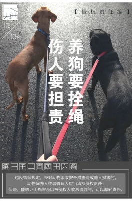 赤峰新闻投诉狗不栓绳电话是多少-第1张图片