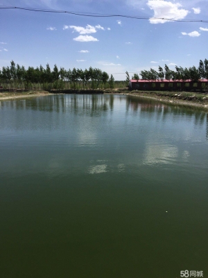 赤峰水泉玻璃厂电话号码多少-第1张图片