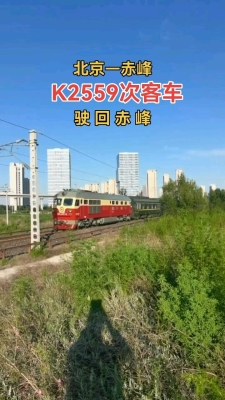 赤峰去大板大客车电话号码是多少-第1张图片