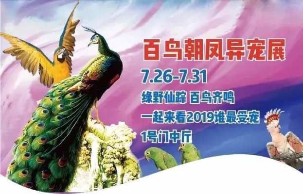 赤峰新城网红店电话多少号-第1张图片