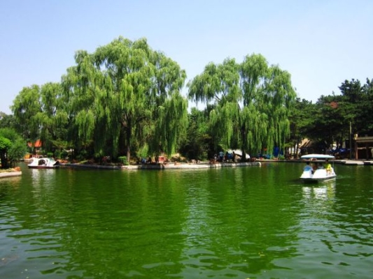 赤峰市新区植物园电话号码-第1张图片