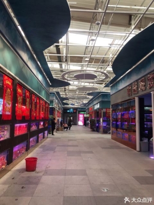 赤峰宠物水族馆电话多少号-第1张图片
