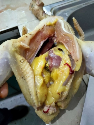 赤峰卖鸽子蛋电话号码多少啊-第1张图片