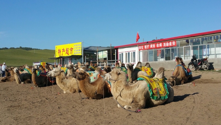 赤峰家多福超市电话号码查询-第1张图片