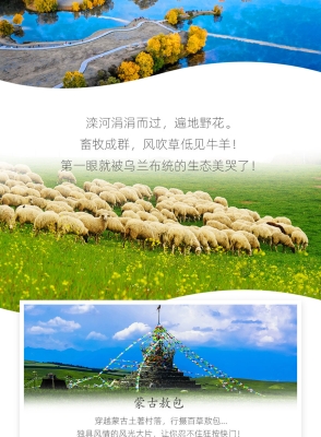 赤峰活驴交易市场电话地址查询-第1张图片