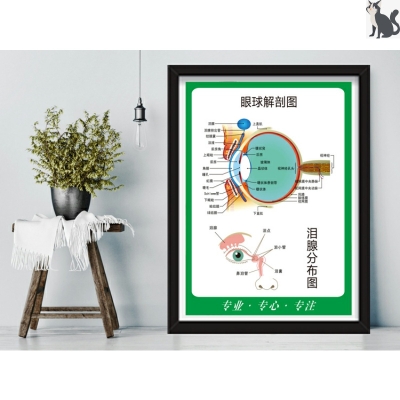 赤峰市验光配镜医院电话号码-第1张图片