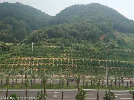 赤峰市卖草种的地方电话是多少-第1张图片