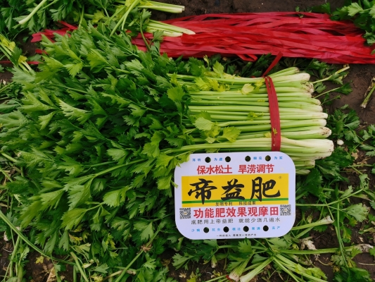 赤峰配肥机厂家电话地址查询-第1张图片