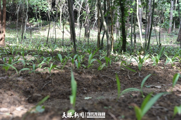 赤峰时兴农具专卖店电话号码-第1张图片