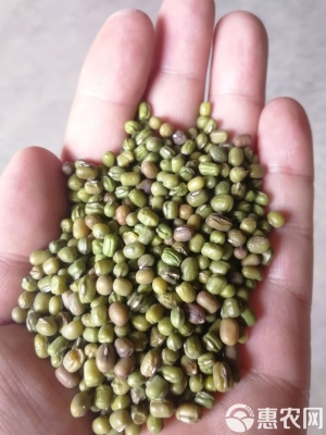 赤峰豆类加工厂电话多少号-第1张图片