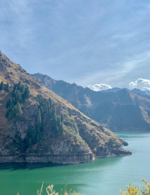 赤峰到天山冷链物流电话号码-第1张图片