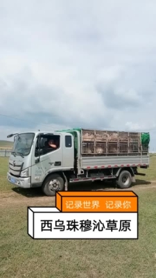 赤峰羊羔火锅店电话号码多少-第1张图片