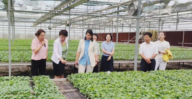 赤峰东荣集团办公室电话号码-第1张图片