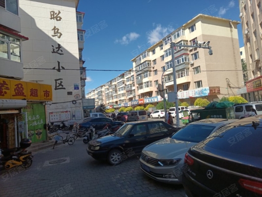 赤峰市小鸟专卖店电话号码-第1张图片