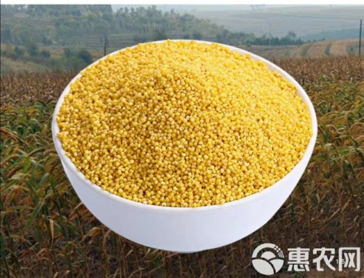 赤峰贝子府小米店电话号码查询-第1张图片
