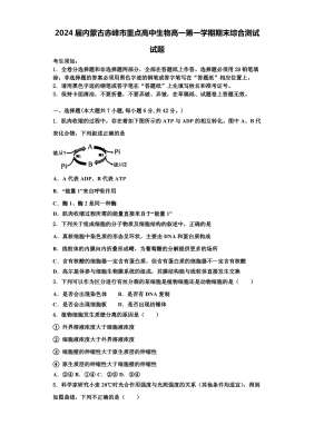 赤峰私立高中电话号码查询是多少-第1张图片