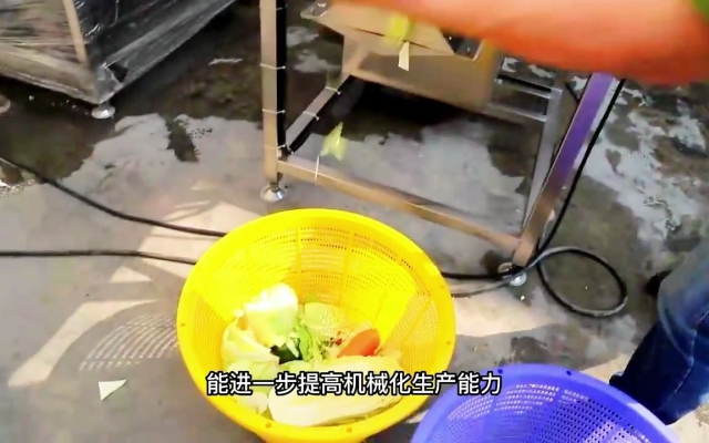 赤峰包菜分瓣机厂家电话号码-第1张图片