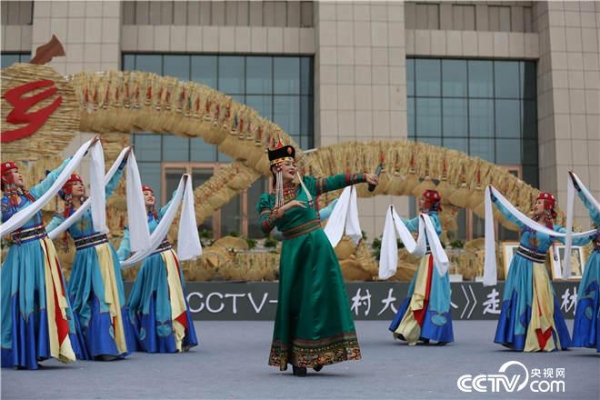 赤峰巴林左旗鸡粪厂电话是多少-第1张图片