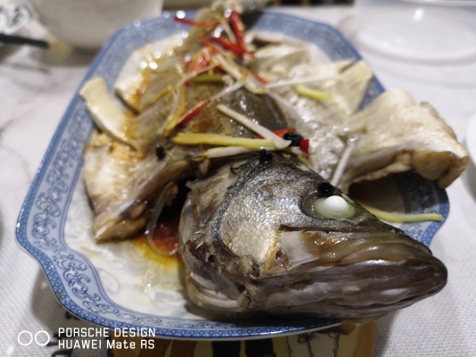 赤峰石斑鱼饭店电话多少号-第1张图片