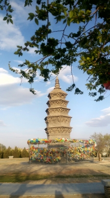 赤峰林东养牛场电话地址查询-第1张图片