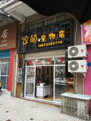 赤峰宠物店电话号码多少号-第1张图片