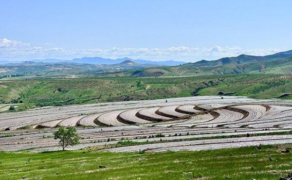 赤峰林西县安踏店电话号码-第1张图片