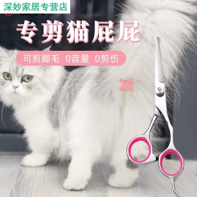 赤峰市狗狗剪毛店电话号码-第1张图片