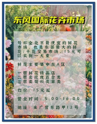 赤峰本地鲜花店电话多少号-第1张图片